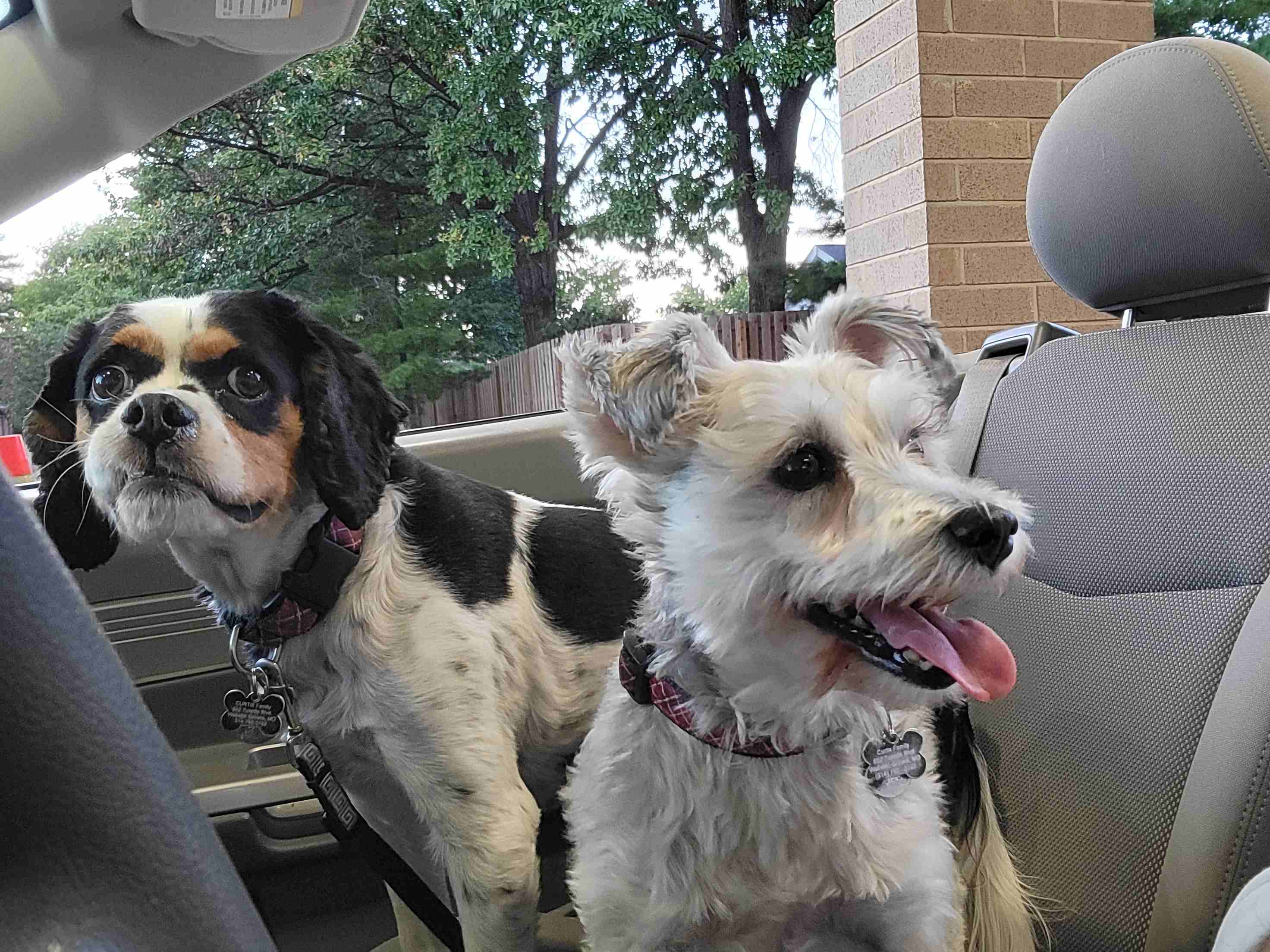 2022-10-03 Car ride.jpg